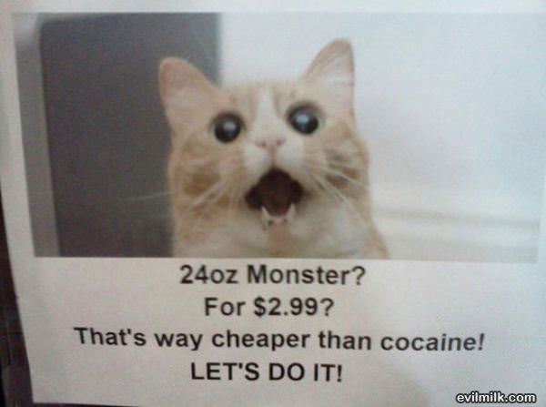 24oz Monster