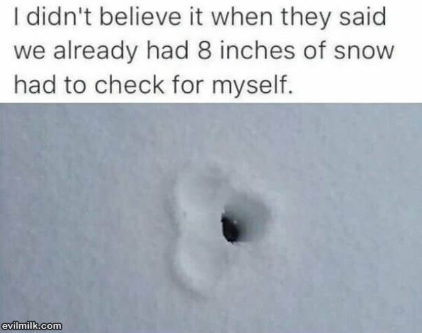 8 Inches Of Snow