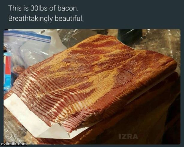 All Of This Bacon