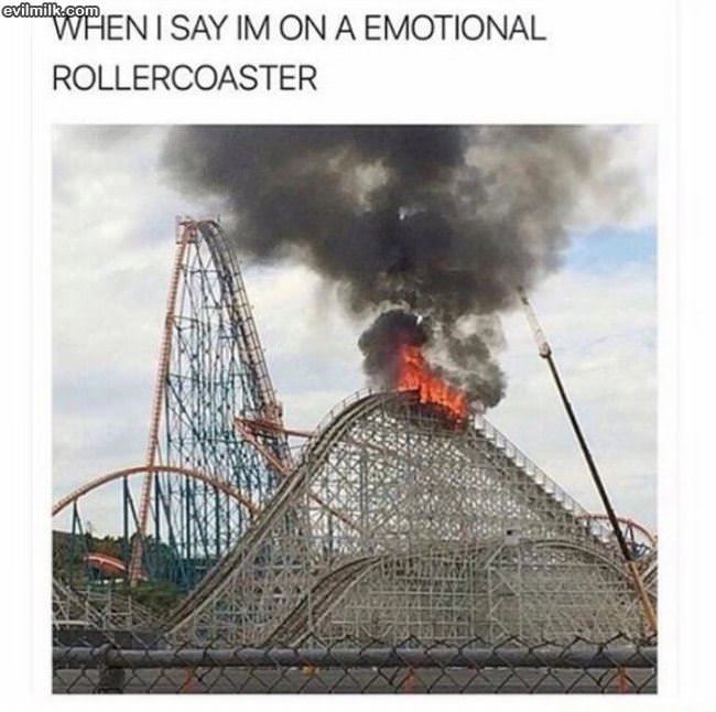 An-emotional-rollercoaster