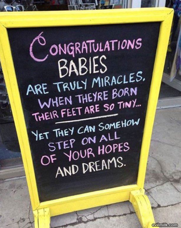 Babies Are Miracles