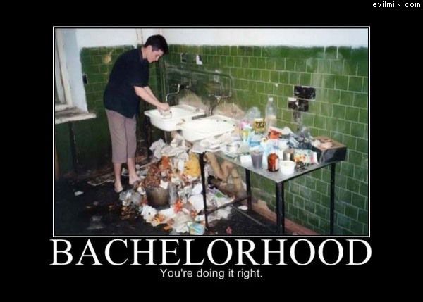 Bachelorhood