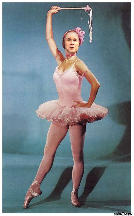 Ballerina Bush