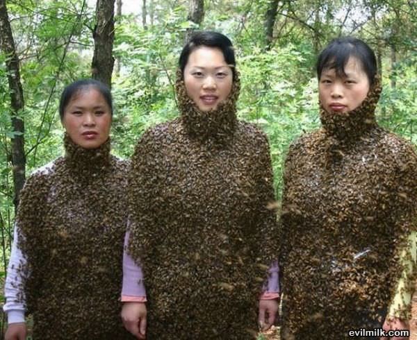 Bee Girls