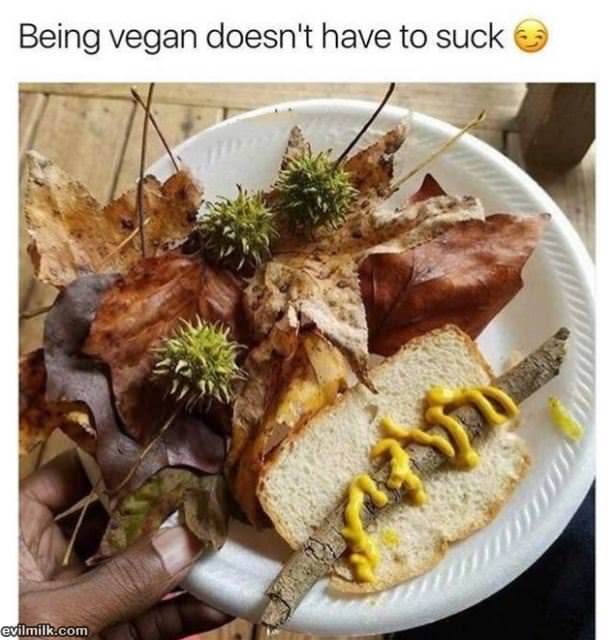 Being-a-vegan