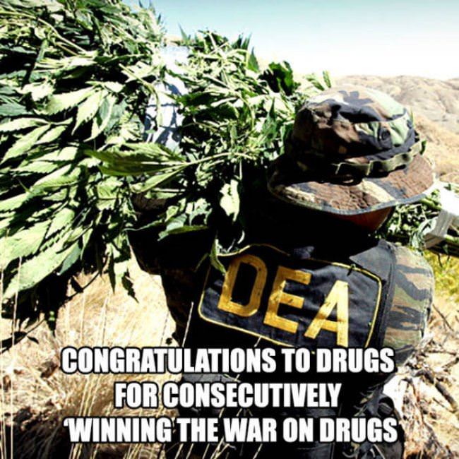 Big Congrats To Drugs