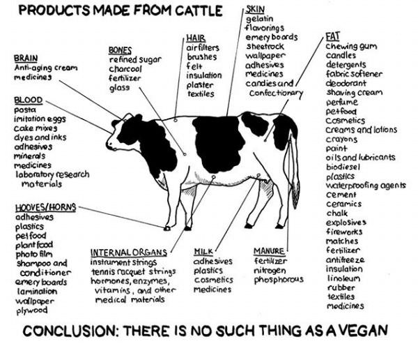 Cattle Products