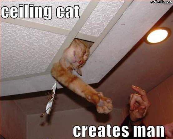 http://www.evilmilk.com/pictures/Ceiling_Cat.jpg