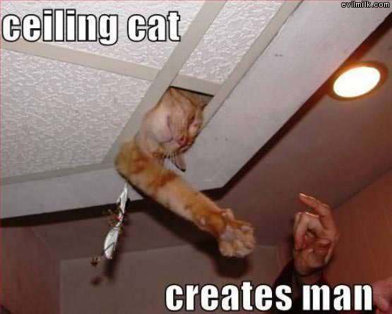 Ceiling Cat Creates