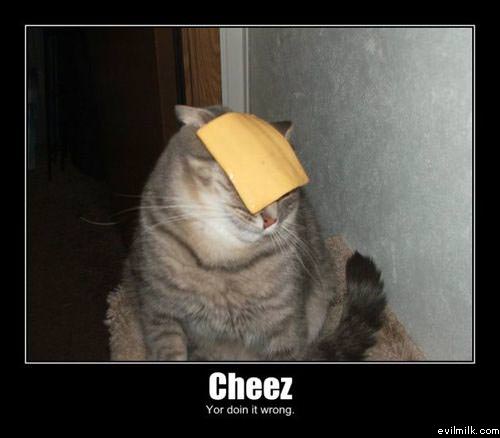 Cheez_doing_it_wrong