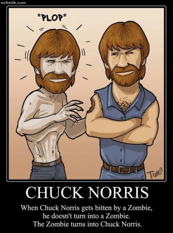 Chuck Norris Zombie
