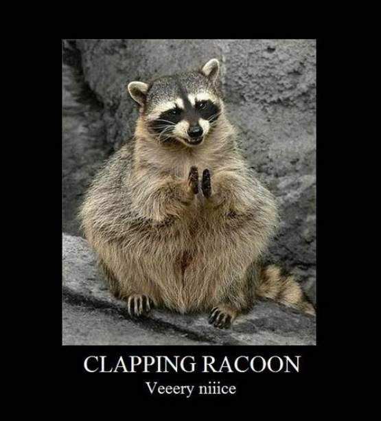 Clapping_Racoon.jpg