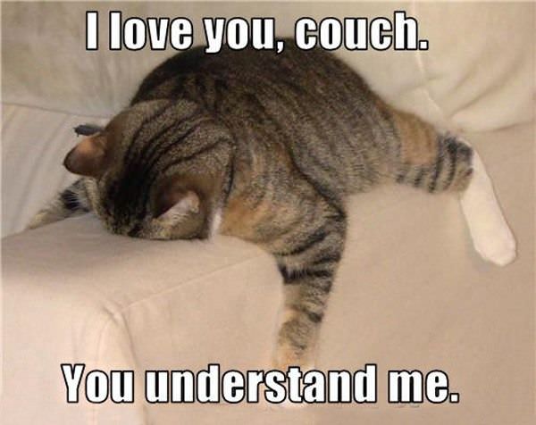 Couch Cat