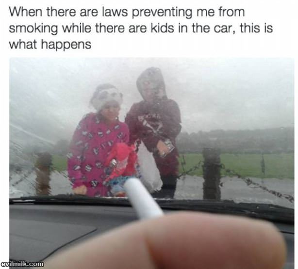 Crazy Laws