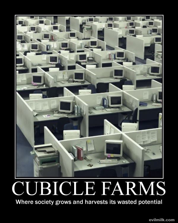 Cubicle Farms