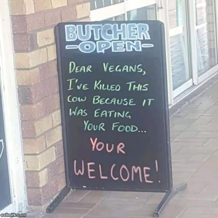 Dear Vegans