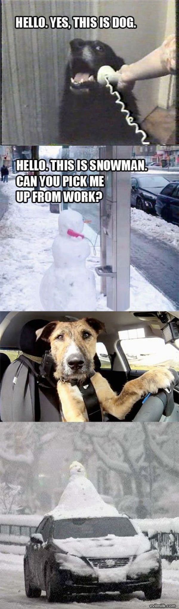 Dog And Snowman