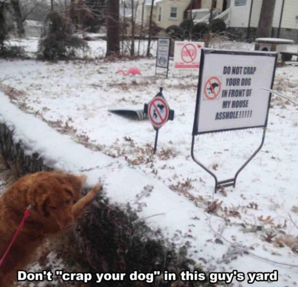 Dont Crap Your Dog Here