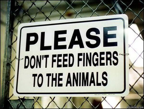 Dont_Feed_The_Animals.jpg