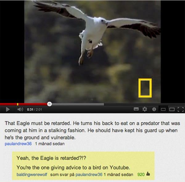 Eagle Advice
