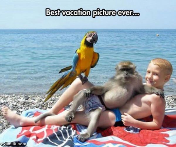 Epic Vacation Picture