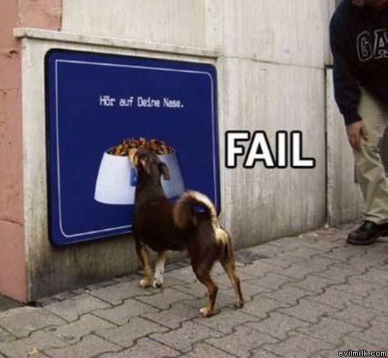 Fail Dog