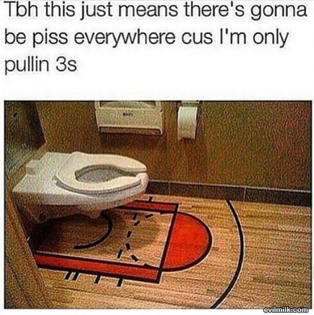 Fancy Basketball Toilet