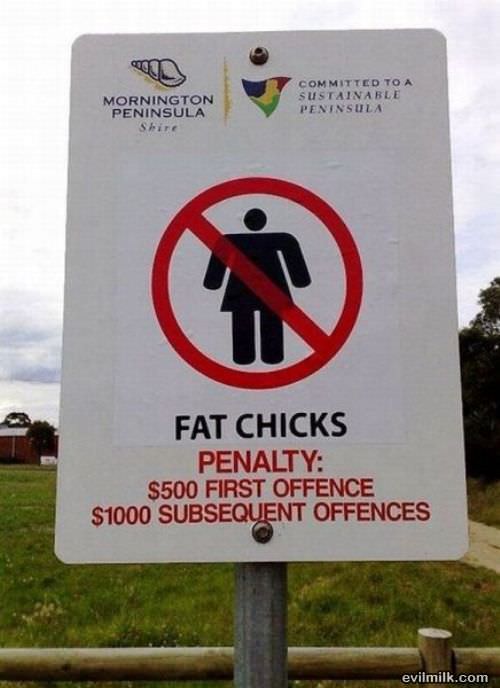 Fat Chicks