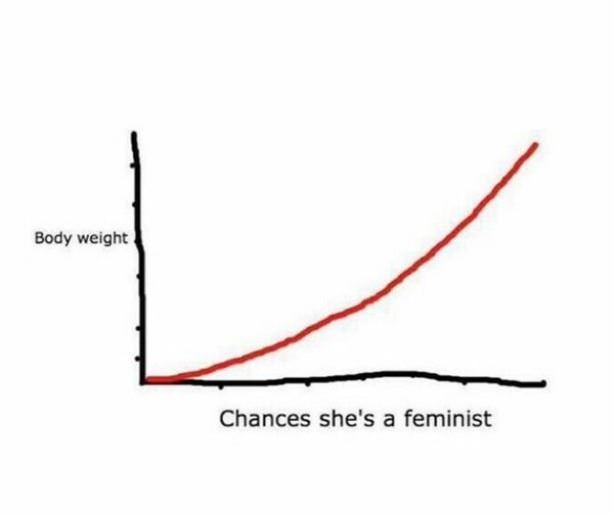Feminism Chart