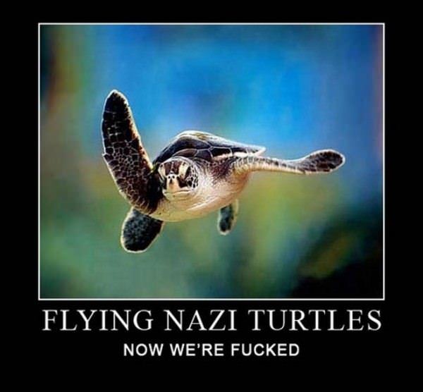 Flying Nazi Turtles
