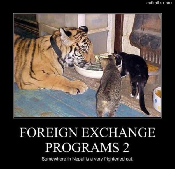Foreign Exchange Programs