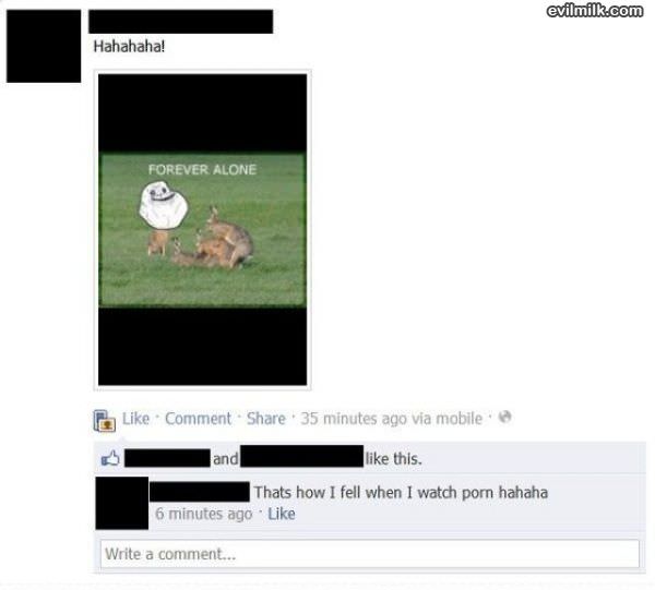Forever Alone Bunny