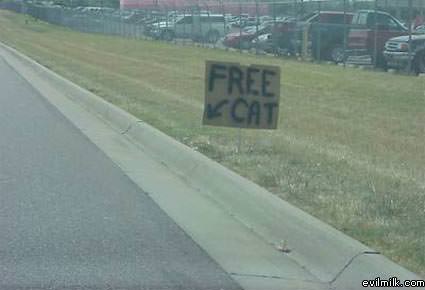 Free_cat