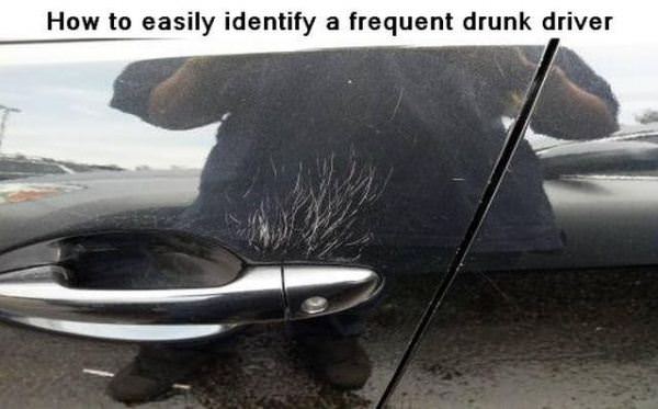Frequent Drunk Driver