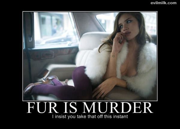 Fur Is Murder