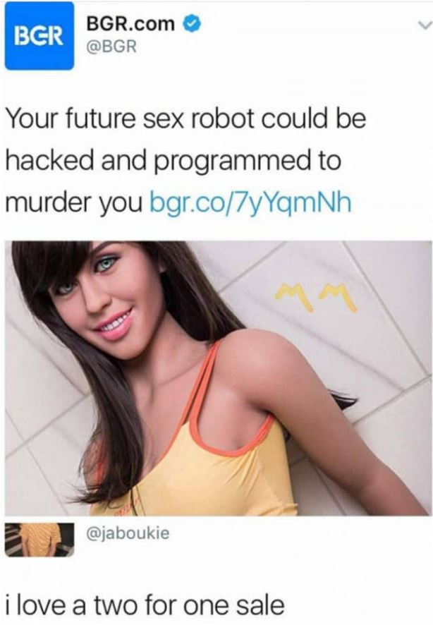 Future Sex Robot