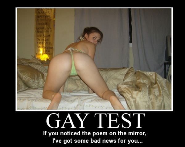 Gay Test