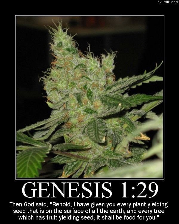 Genesis 129