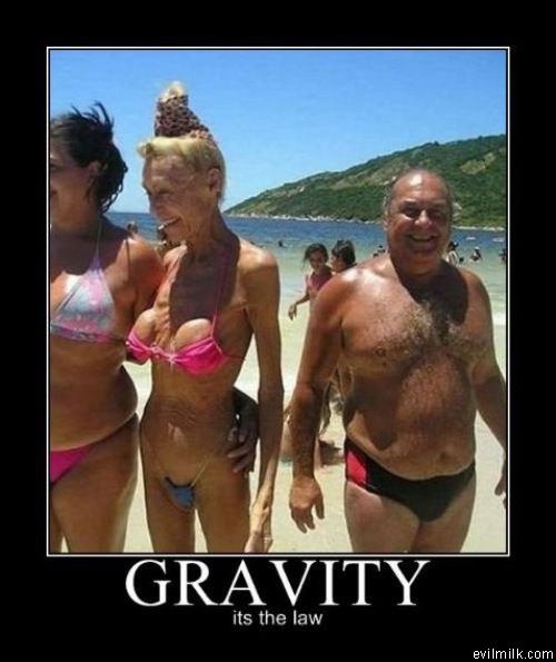 Gravity Law