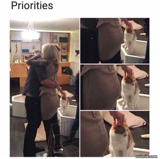 Have Priorities