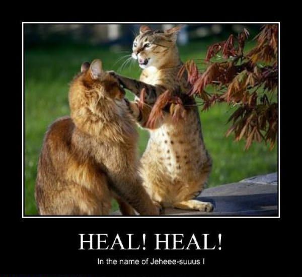 Healer_Cat.jpg