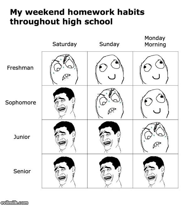 Highschool Homework Habits