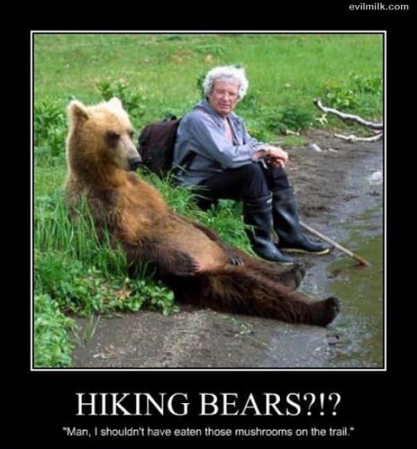 Hiking Bears