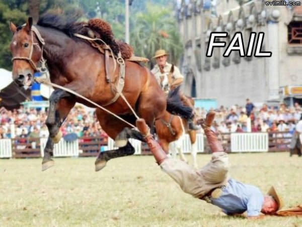 Horse Rider Fail