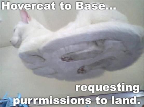 Hovercat To Base