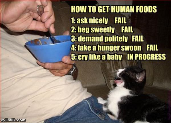 How To Get Human Food