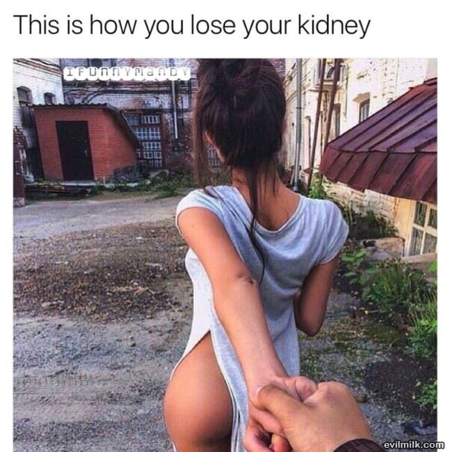How To Lose A Kidney