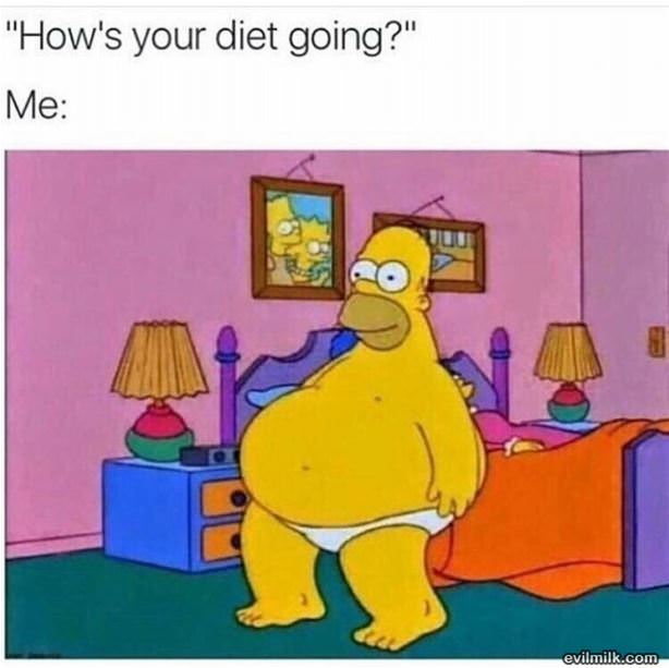 Hows The Diet Going