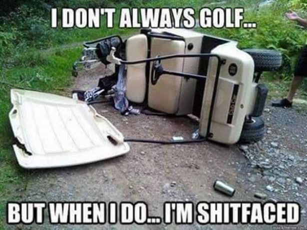 I Dont Always Golf