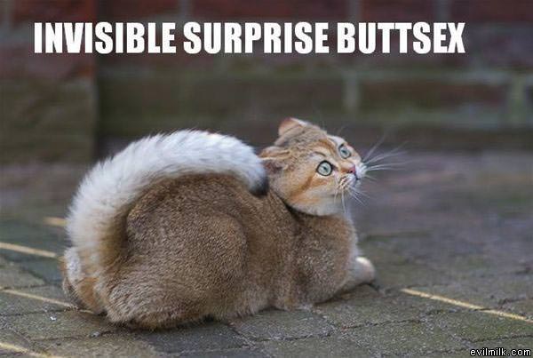 Invisible Surprise